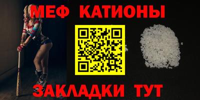 индика Камышлов