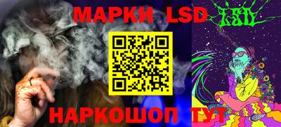 индика Камышлов