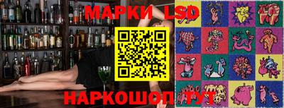 индика Камышлов