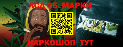 индика Камышлов