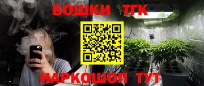 индика Камышлов