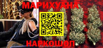 индика Камышлов