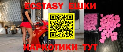 индика Камышлов
