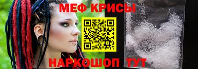 индика Камышлов