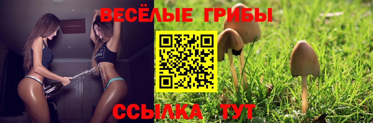 Галлюциногенные грибы мухоморы Кызыл